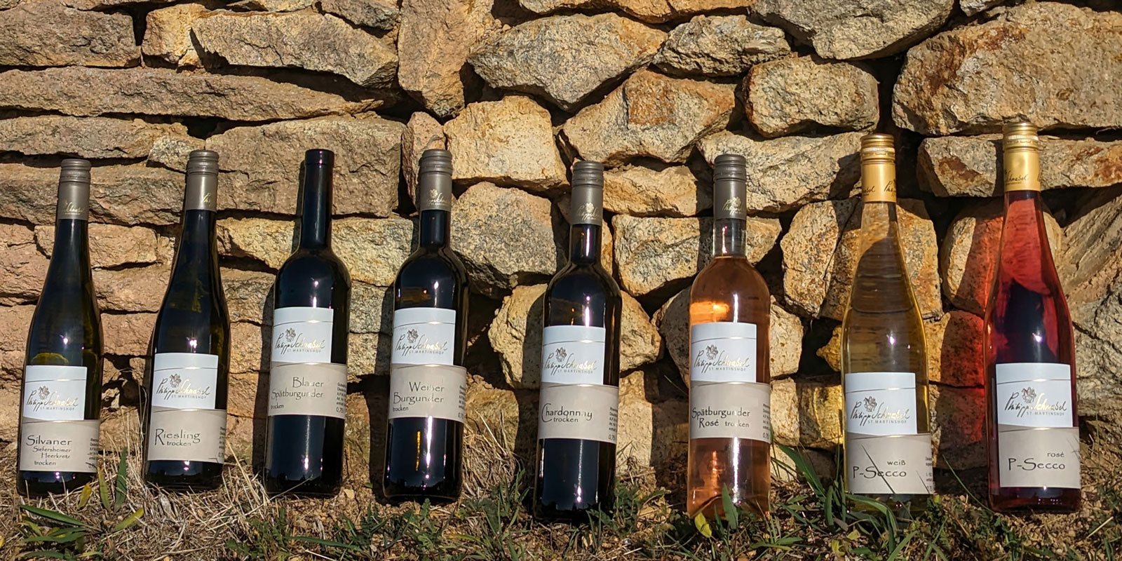 Beispieldarstellung Weinprobierpakete Beispieldarstellung Weinprobierpakete